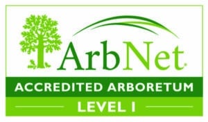 ArbNet Logo