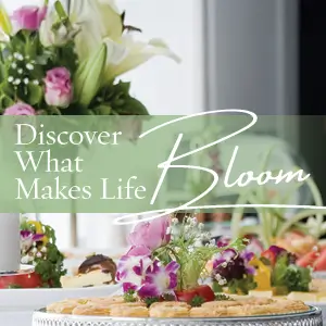 Discovery Brunch ad